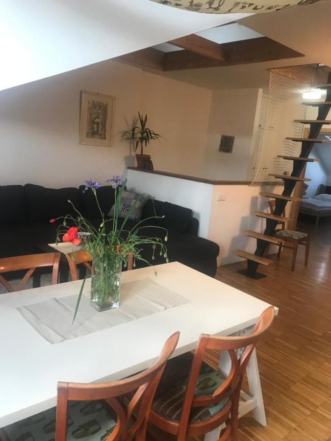 Apartman Slovinska 28 Brno Extérieur photo