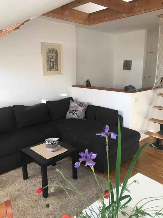 Apartman Slovinska 28 Brno Extérieur photo