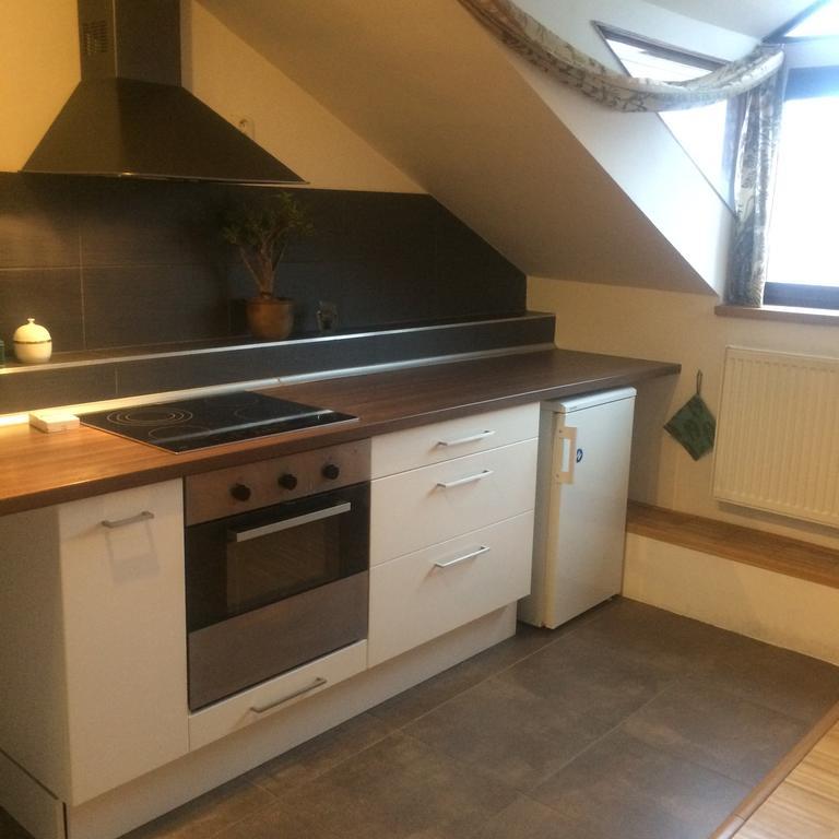 Apartman Slovinska 28 Brno Extérieur photo